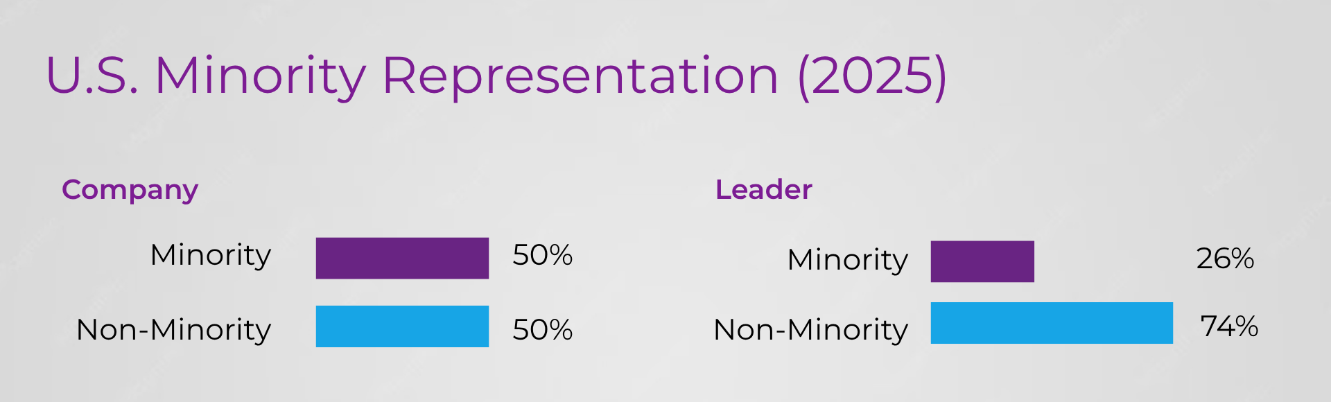 U.S. Minority Representation